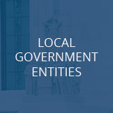 Local Government Entities